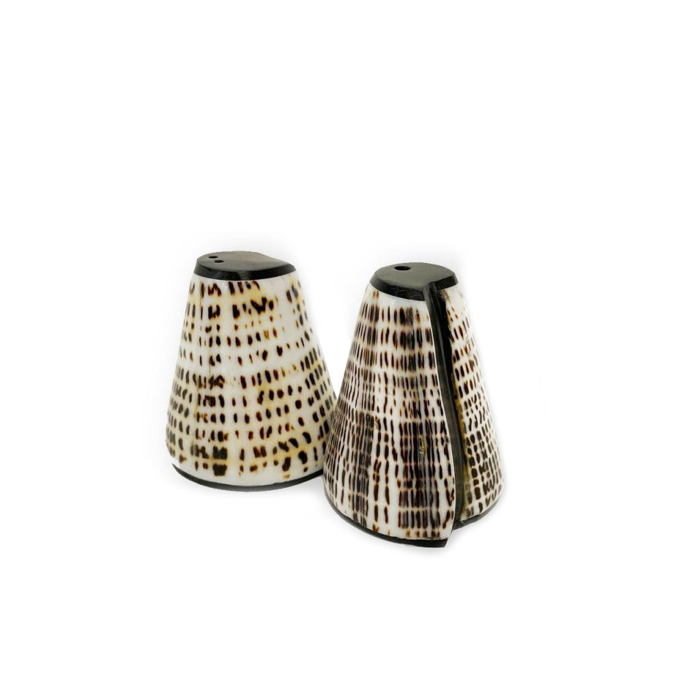 Set solnita si pipernita din scoici naturale 10x6 cm
