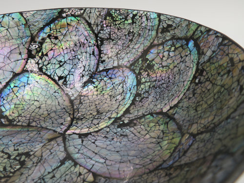 Bol decorativ din scoica Abalone 6.5x19 cm
