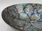 Bol decorativ din scoica Abalone 6.5x19 cm