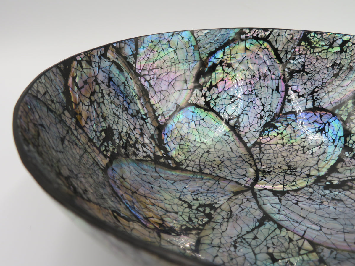 Bol decorativ din scoica Abalone 6.5x19 cm