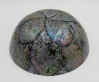 Bol decorativ din scoica Abalone 6.5x19 cm