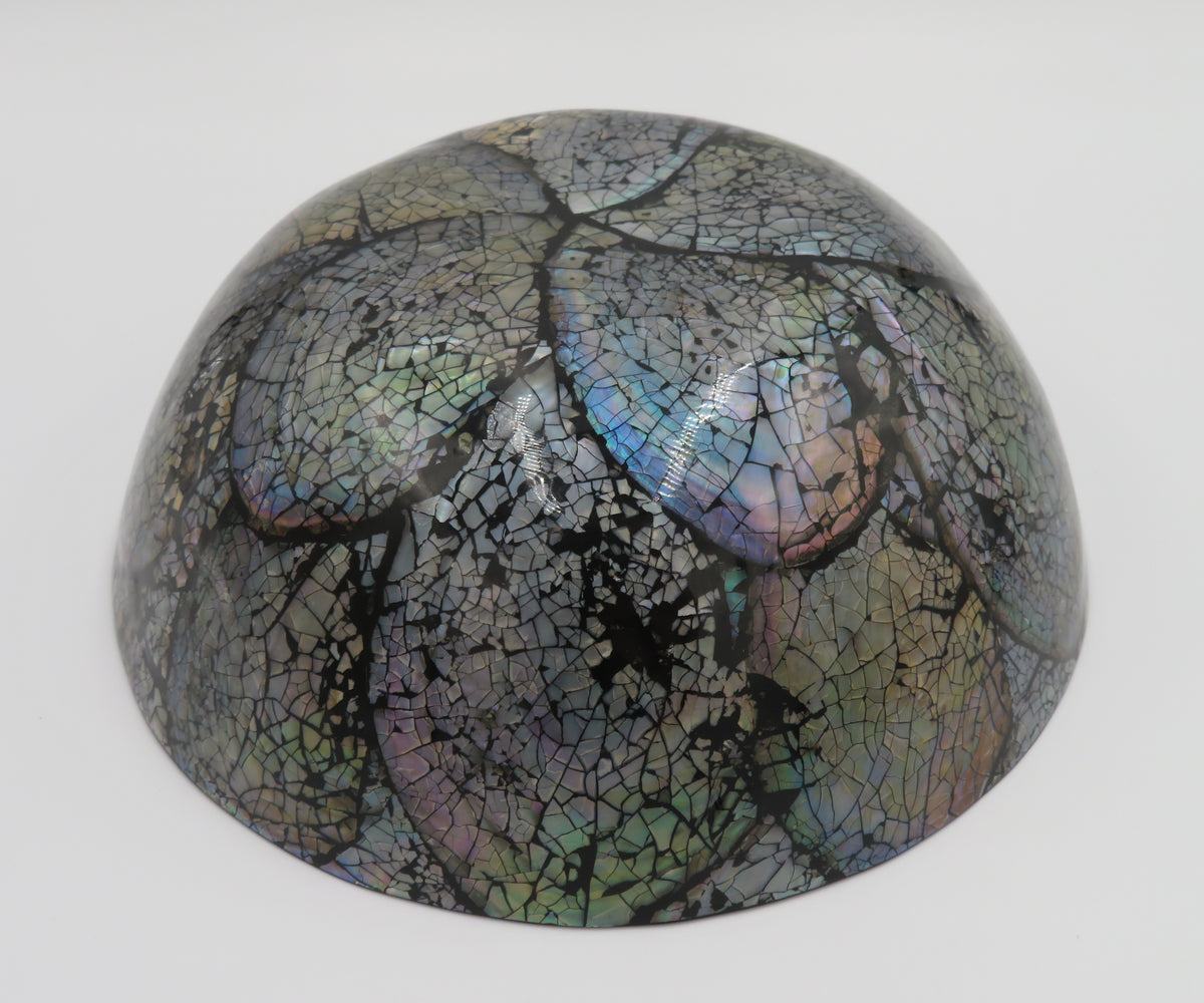 Bol decorativ din scoica Abalone 6.5x19 cm