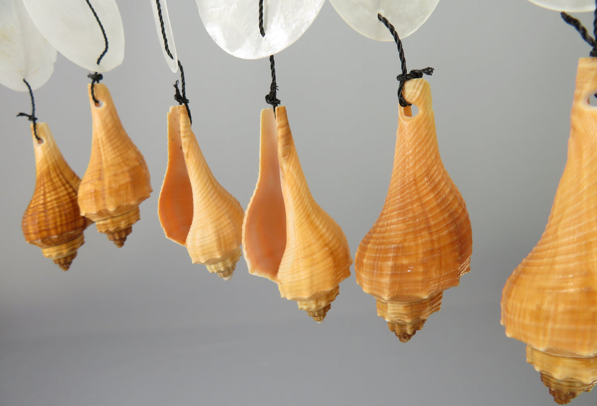 Decoratiune de perete din lemn si scoici naturale 70x30cm
