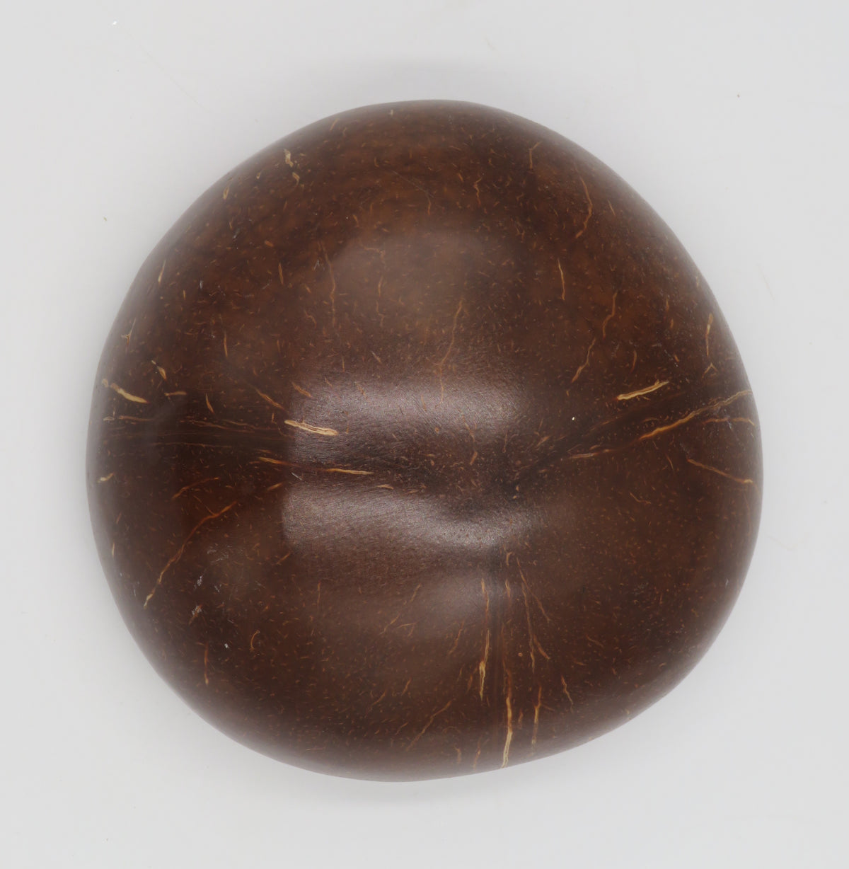 Bol decorativ din nuca de cocos cu mozaic scoici 6x14 cm