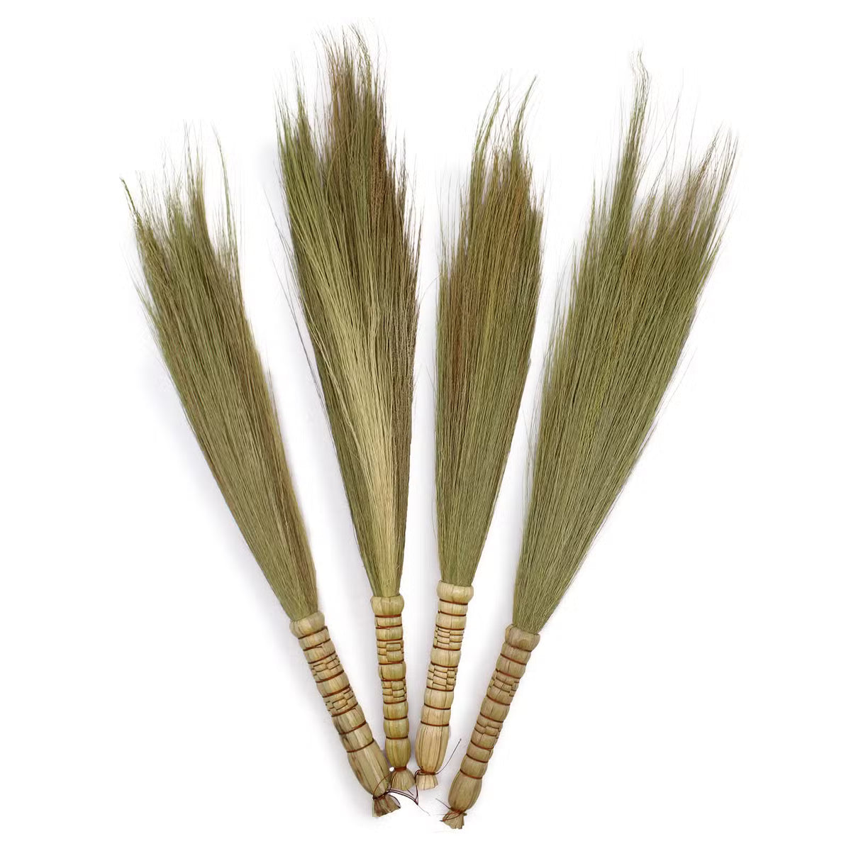Set de patru maturici decorative din pampas 60x9 cm
