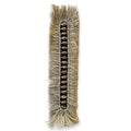 Decoratiune de perete din iarba de mare si scoici 60 cm