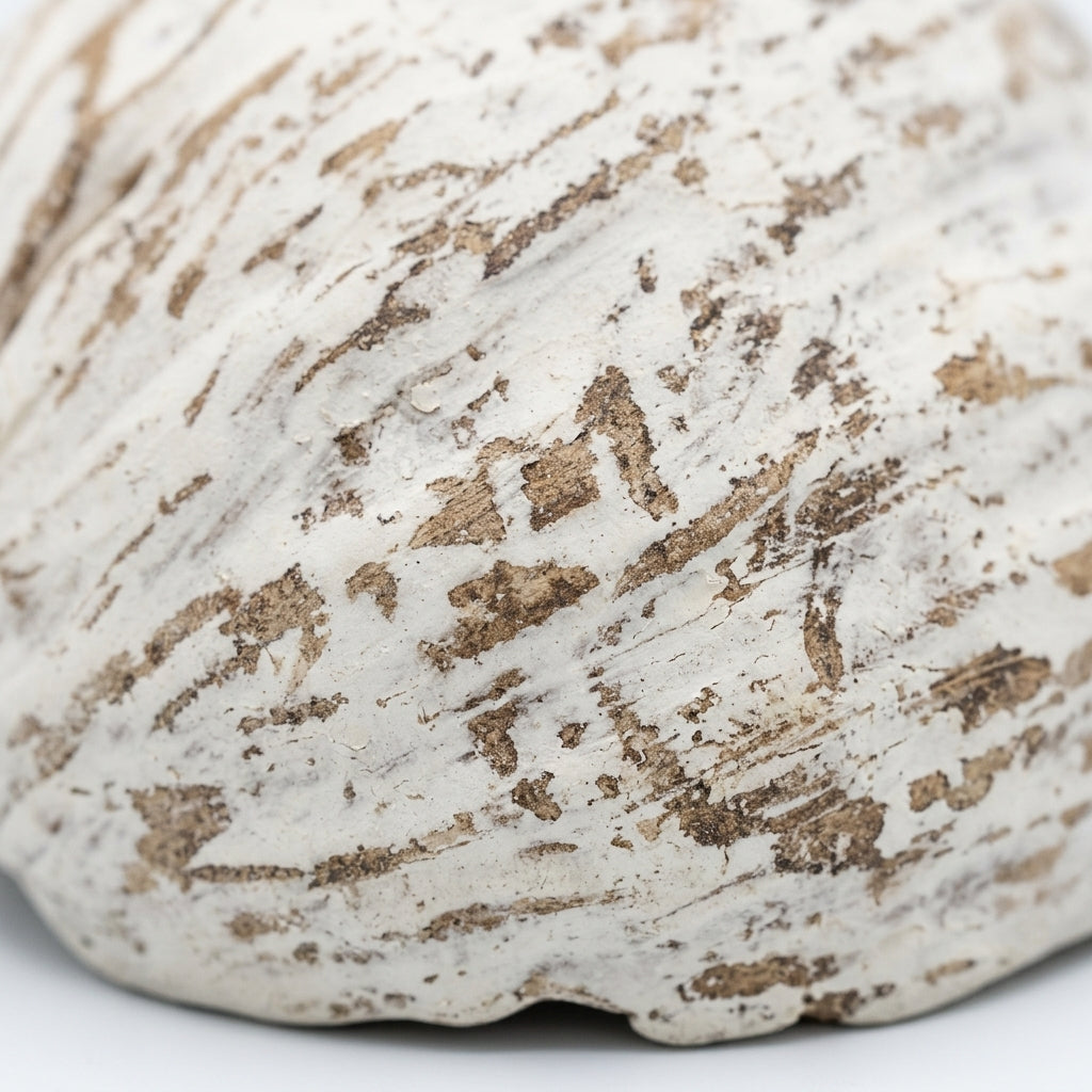 Bol decorativ  din coaja de nuca de cocos 20x25 cm