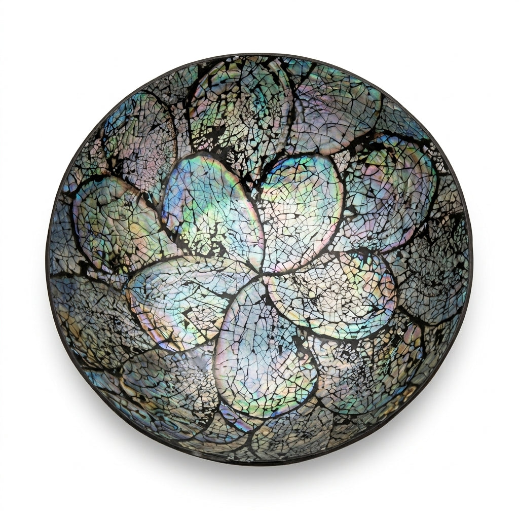 Bol decorativ din scoica Abalone 6.5x19 cm