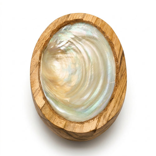 Bol decorativ din lemn de mango cu scoica naturala 14x7 cm