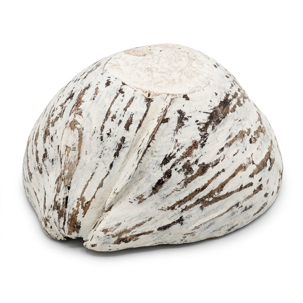 Bol decorativ  din coaja de nuca de cocos 20x25 cm